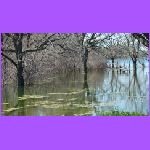 Tables Under Water.jpg